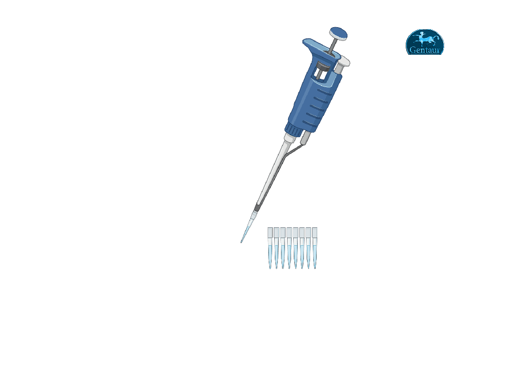 100 μl Filter universal Pipette Tips; Filter; Racked; Sterile; 96/pk; 960/box